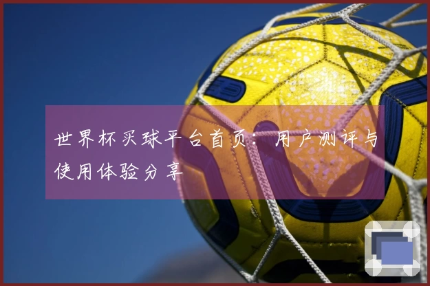 世界杯买球平台首页：用户测评与使用体验分享