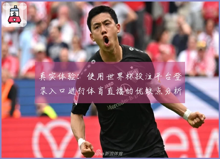 真实体验：使用世界杯投注平台登录入口进行体育直播的优缺点分析